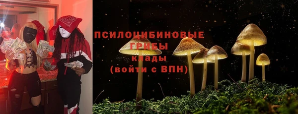 соль курить ск Новозыбков