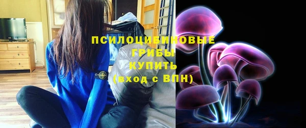 a pvp Няндома