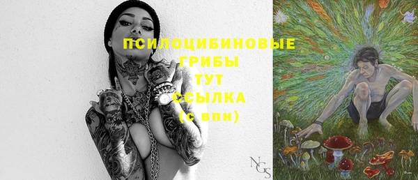 соль курить ск Новозыбков