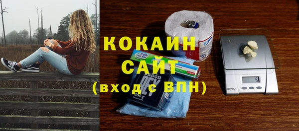 шишки Новокубанск