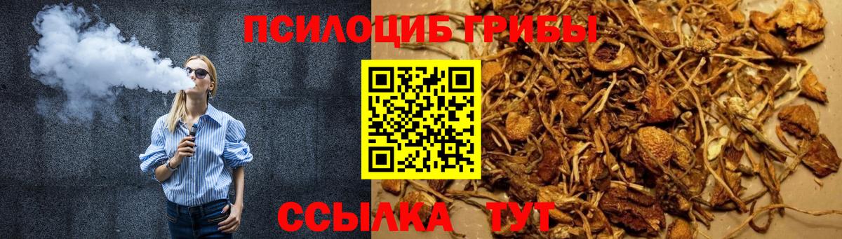 Галлюциногенные грибы прущие грибы Сарапул