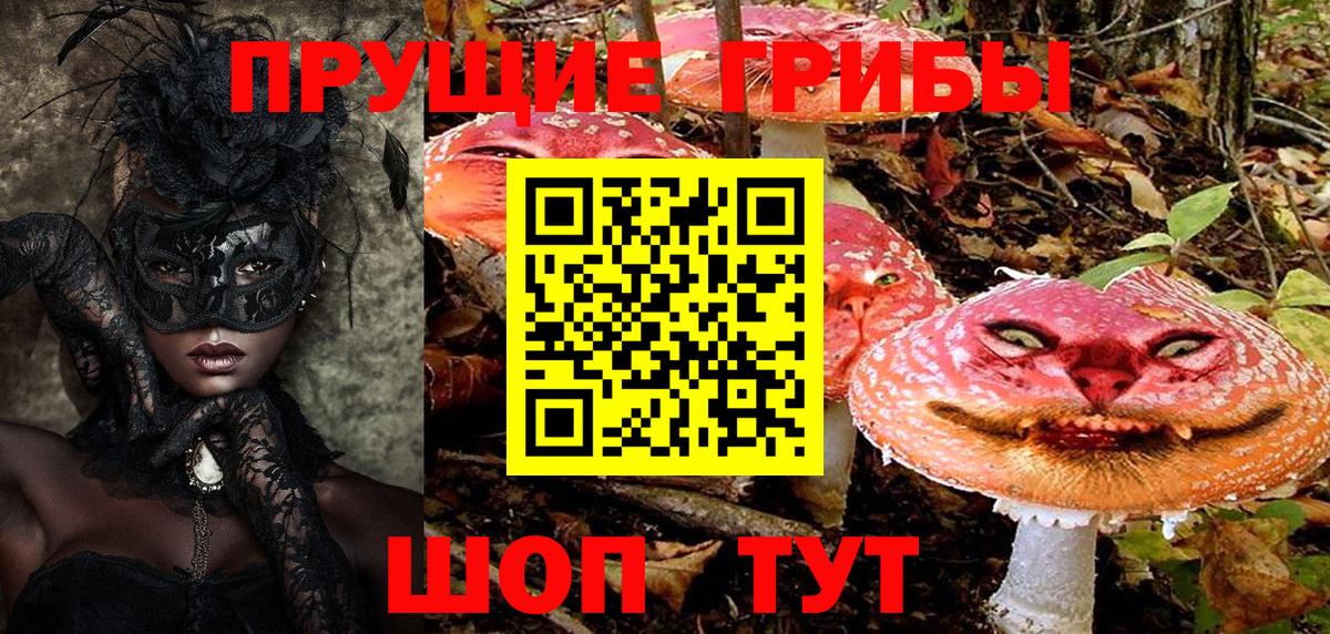 Сарапул  Псилоцибиновые грибы прущие грибы  Вход с VPN 